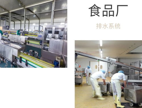 食品廠車間排水布局設計與地漏選擇建議