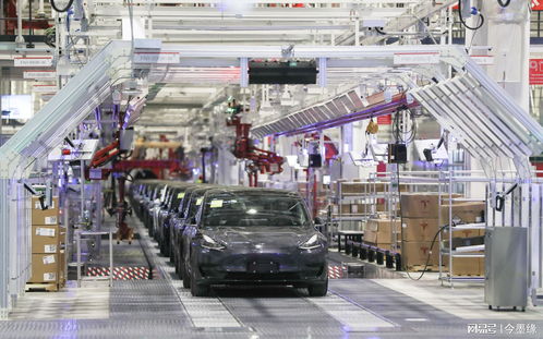 特斯拉工廠機器人傷人，馬斯克仍堅稱自動化安全，寧波廣告設計行業關注